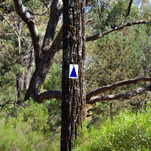 Old Blue and White Arrow Marker