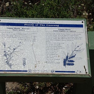 Plants of the Coorong Sign