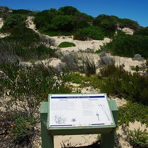 Plants of the Coorong Sign
