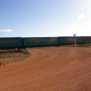 Connie Sue Hwy & Trans Australian Railway