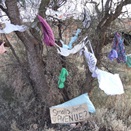 Now this is just getting plain weird!