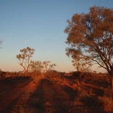 More amazing colours in the NT