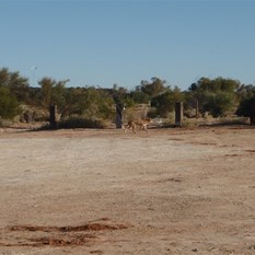 This guy has priority