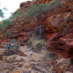 rock formations and colours in Temple Gorge