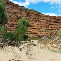 Sand and river gums along the river bends
