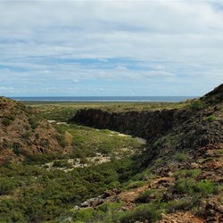 View to the water from the Mangu Gorge walk