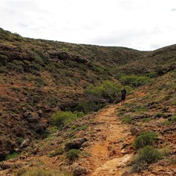 Glydey strides off while I take pics!