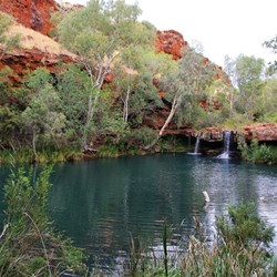 Fern Pool