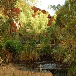 View Near circular pool