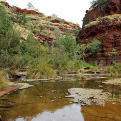 Dales Gorge walk