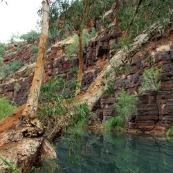 Dales gorge walk views