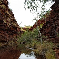 Hancocks Gorge