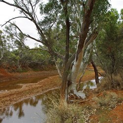 Gascoyne River