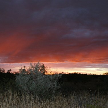 Sunrise through the morning showers