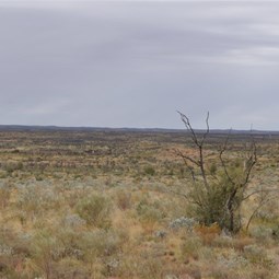 View down into the Helena Spring basin