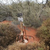The Helena Spring marker and spade for digging.