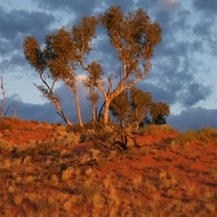 The view from the window of the Roof Top Taj!