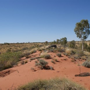 Perched on a dune out the back off 44.