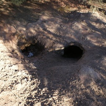 Midway Well - Talawana Track