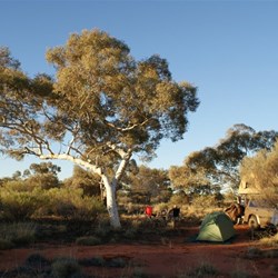Our campsite beside the Connie Sue