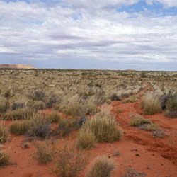Back track to Rudall.  Bocrabee Hill in distance.