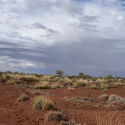 Track heading towards Mt Hodson (Storms were a trip extra!)