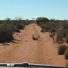 Camel Rock- Parnngurr (Cotton Creek) Road
