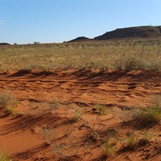 Canning corrugations - There is no escape!