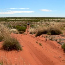 Dunes