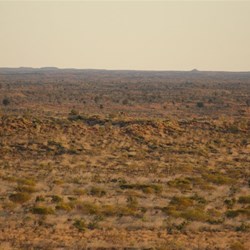 Pin the tail on the donkey.....How about find the camel in the desert!