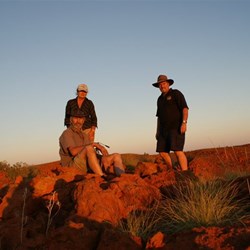 The adventurers on the hilltop.
