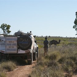 John and the belligerent Camel! - It's my shade and I'm not moving!