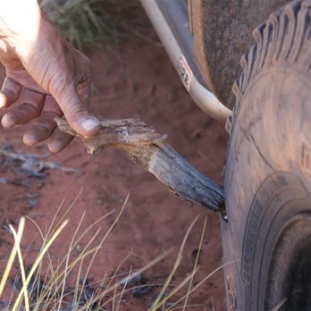 Now that my friends is a stake!