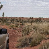 We love a good topped sand dune - Heading north on a cut line