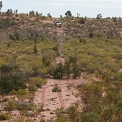 A good section of the cut line!