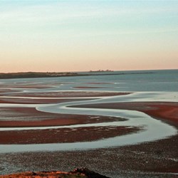Patterns on the sand flats - Cossack