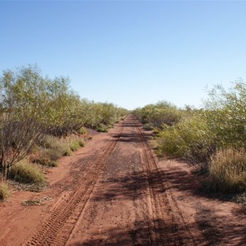 Cruising up the Kidson Track