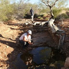 One more of Suze and her water source.
