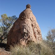 Capadocian termite mound?