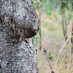 Amazing work of Nature