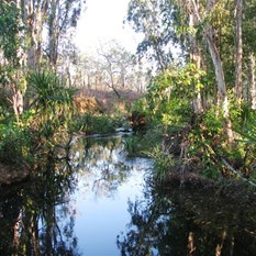 Hot Springs in the Dry Season