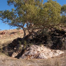 Between a rock and a hard place