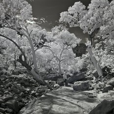 Kings Canyon Infrared