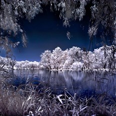 Murray River near Albury - Infrared
