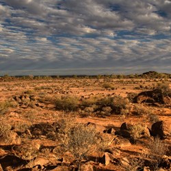 Tibooburra Afternoon Landscape
