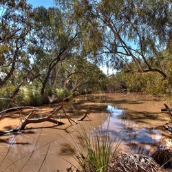 Creek on Toompine Road