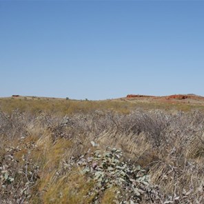 The Reserve Range - Great Sandy Desert