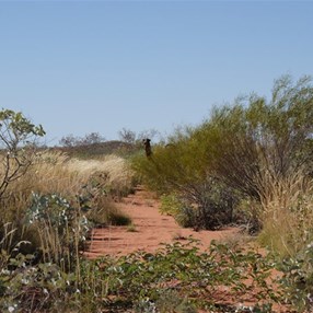 And what my friends are you doing out here pray tell?