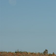 An amazing moon setting into the dunes