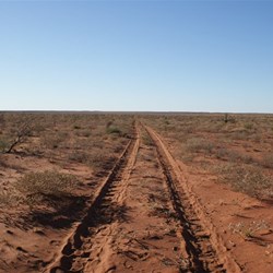 The Talawana stretching away to the east.  Note all the camel tracks!